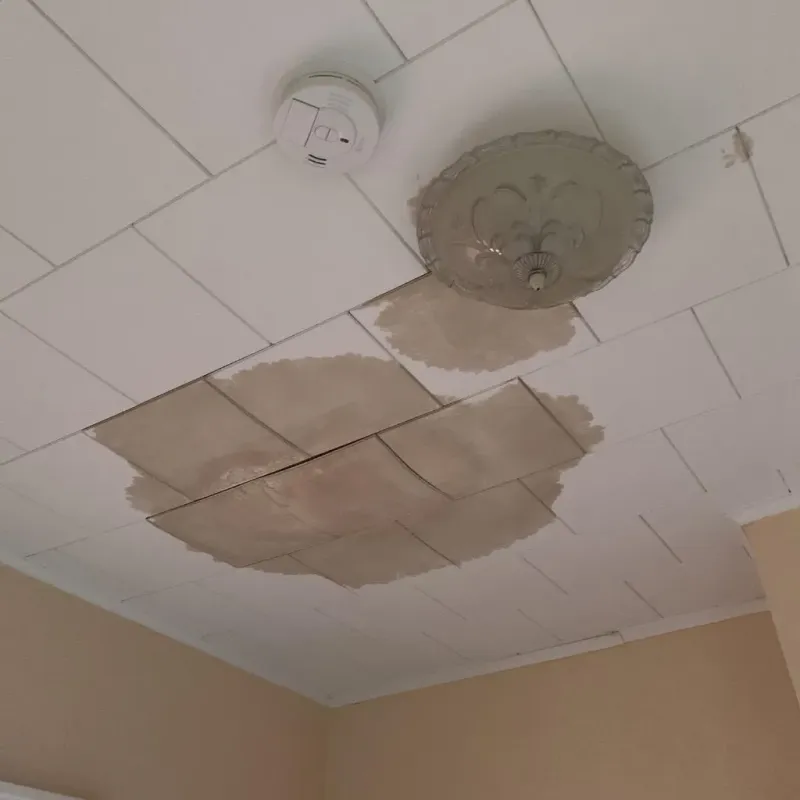 Ceiling Water Damage Repair in West End-Cobb Town, AL