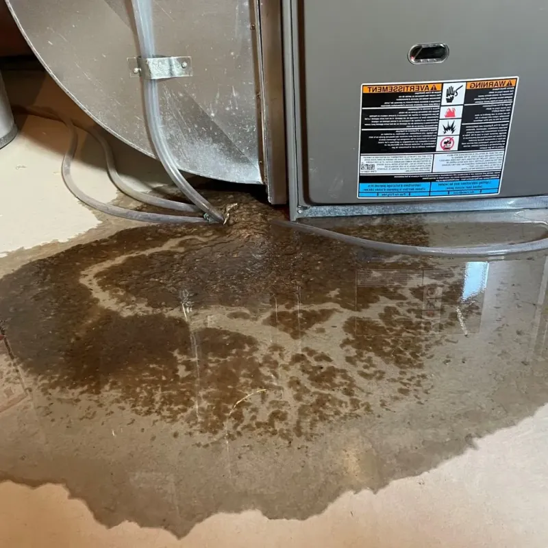 Pipe Burst and Leak Restoration in West End-Cobb Town, AL
