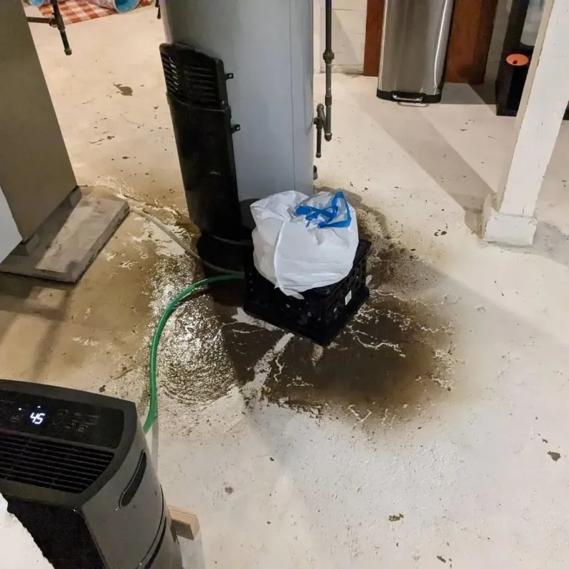 Sewage Backup Cleanup Service in West End-Cobb Town, AL